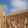 LVL  fire resistance  roof rafters